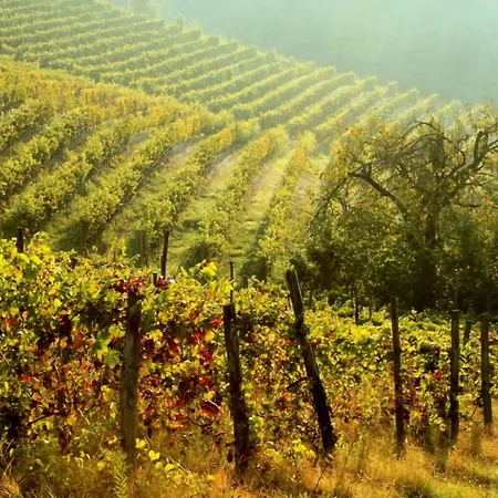Cascina Desderi ファームステイ *
